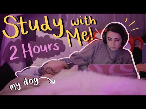 Study & Work with Me (Thunderstorm, Dog Buddy, Timer Included!) Pomodoro