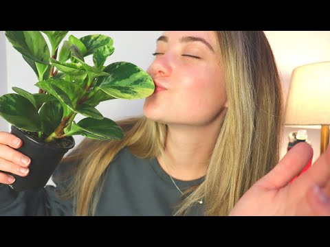 ASMR PLANT HAUL! Leaf Sounds, Houseplants, Whispered Show and Tell