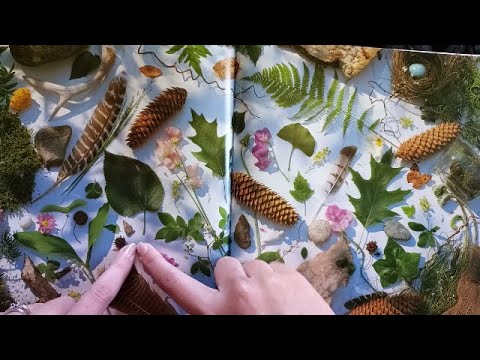 ASMR I Spy Book - Part 2 (Peaceful Distraction)