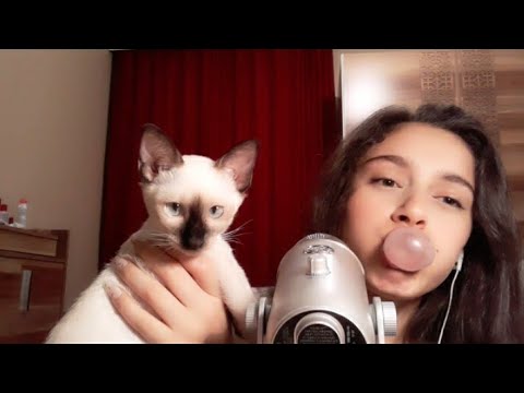 [ASMR] Gum Chewing & Blowing Bubbles