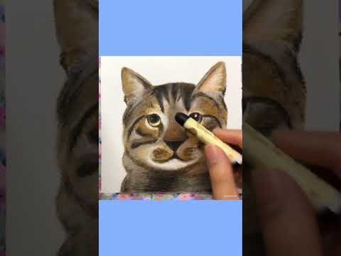 How to draw my cat #oilpastel #oilpasteldrawing #oilpastelportrait #drawing #portrait #art #cat