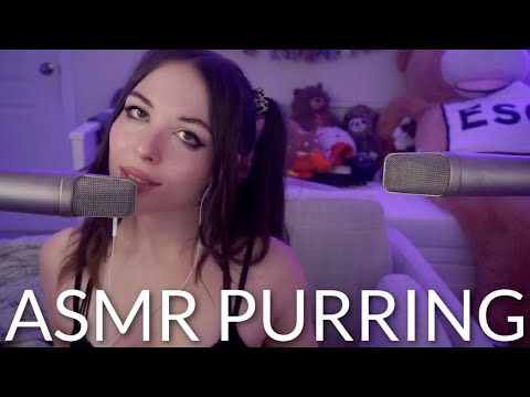 ASMR Intense Tingles to Help You Relax (Purring, Brushing, Face Touching, Personal Attention)