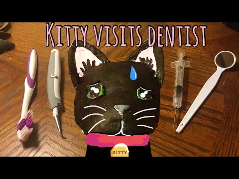 ASMR Dentist- Kitty Mouth Cleaning