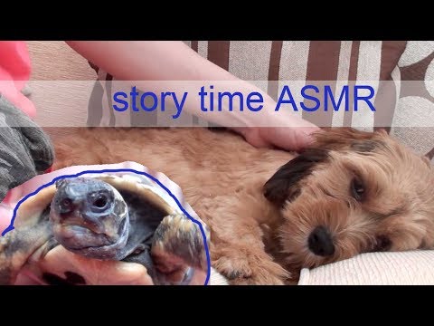 Story time ASMR