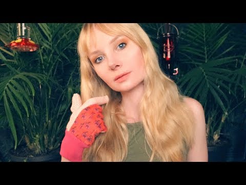 Trim and Prune Session 🌱 ASMR Plant Role Play