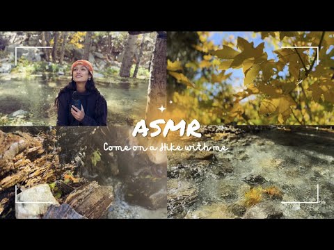 Come on a Hike With Me! (soft spoken, water sounds, tapping, fall leaves, streams, walking sounds)