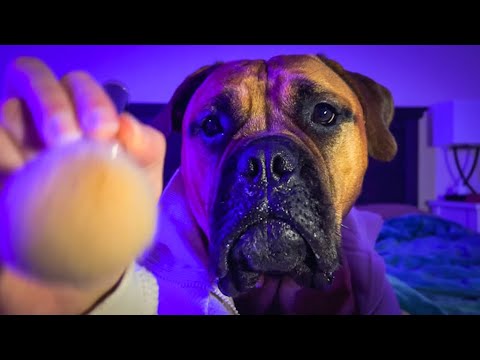 Dog Gives You ASMR