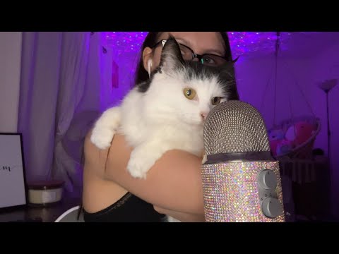 trying to make my cat an ASMRtist 🐈