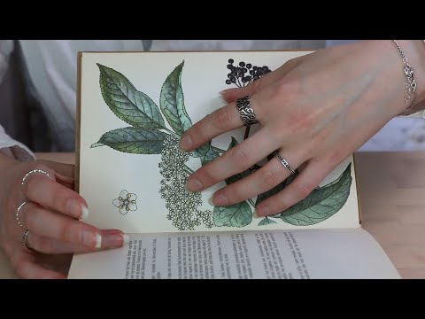 ASMR NAIL SCRATCHING BOOK | Page Turning & Finger Tracing