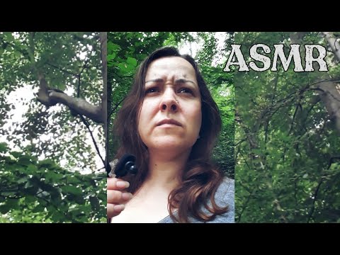 ASMR CZ/ Šeptání v lese 2 🌲