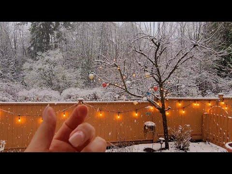 ASMR Camera Tapping In The Snow | Lo-fi