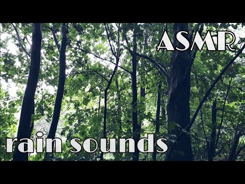 ASMR/ Lo-fi / Déšť