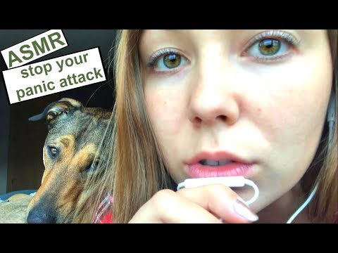 Shhh...You're Safe. ||asmr|| EXTREMELY CLOSE, MOUTH SOUNDS, WHISPERED