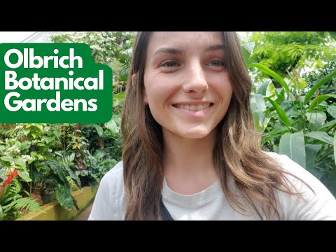 Olbrich Botanical Gardens Tour (Bird Sounds, Beautiful Outdoor Gardens, Conservatory Tour)