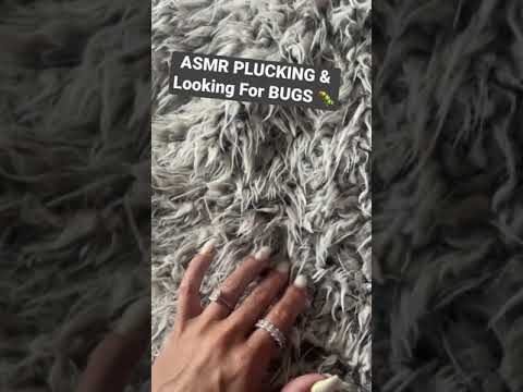 ASMR Plucking & ASMR Bug Searching 🐛 In This Fuzzy Blanket
