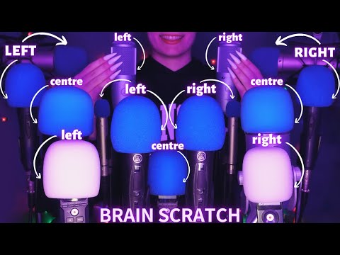 ASMR Mic Scratching - Brain Scratching with 15 MICS🎤| No Talking for Sleep with Long Nails 1H - 4K