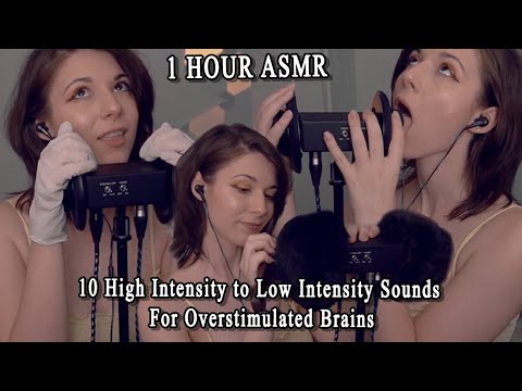 ASMR 10 High Intensity to Low Intensity Sounds For Overstimulated Brains || 1 HOUR ASMR