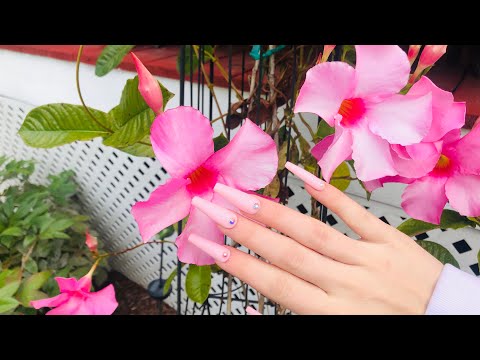 ASMR! Tapping Outside! (Early Morning Tingles!) ☀️🐿