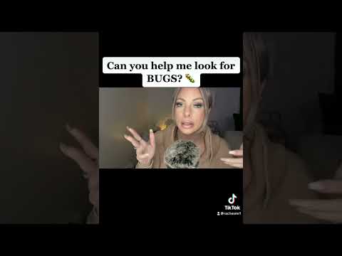 ASMR Bugs - Can You Help Me Look?