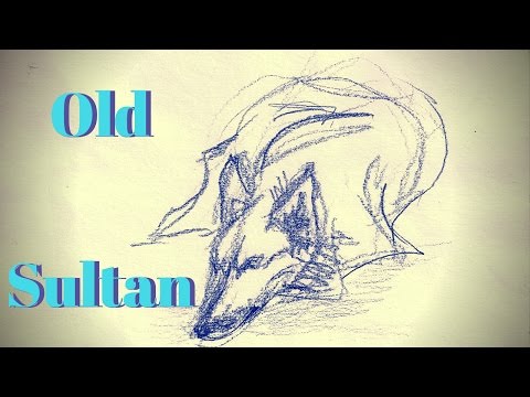 ✦ ASMR ✦ Old Sultan ✦ Grimm's Fairy Tales ✦ Whispered ✦ Storytelling