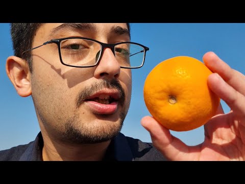 ASMR Vlog - Chilling under the Sun \ Calm ambiance, Background Sounds \ Eating Tangerine