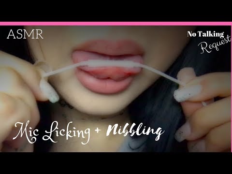 ASMR ♡ Delightful Mic Licking 👅Nibbling for Relaxation 👄 Part 2 No Talking Lo-Fi (Christianna ASMR)