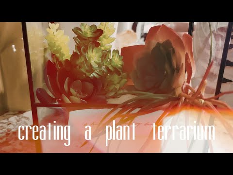 ASMR| creating faux plant terrarium