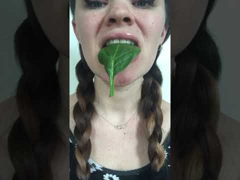 Would U EAT THIS LEAF ? 🍃🌱🍃 Spinach chewing mouth sounds satisfying ASMR #shorts