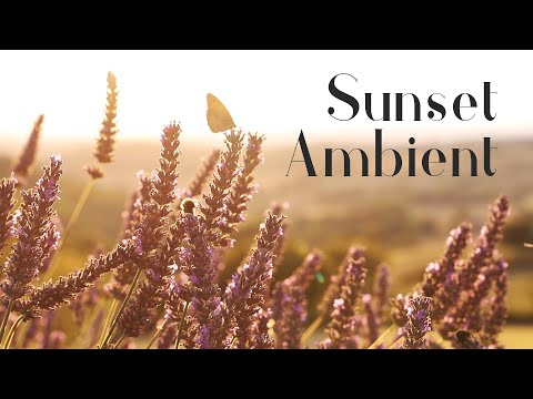 1 HOUR | French Sunset Ambient