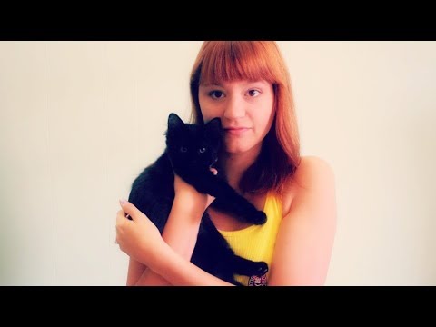 ASMR Cat Facts. Meet All Of My Cats and Kittens! Pets Add Life. Mouth Sounds, Whisper