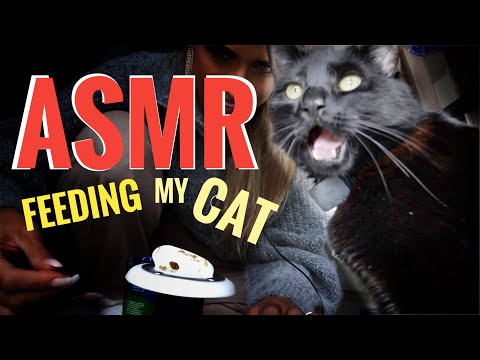 ASMR Gina Carla 🐈‍⬛ Cat Mouth/Eating Sounds!
