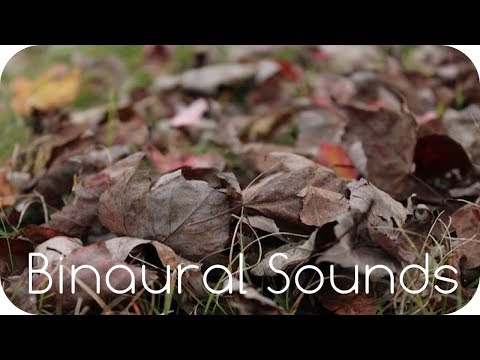 Walking in Dry Leaves Around Your Head. Nature ASMR. (Binaural/3D Sound)