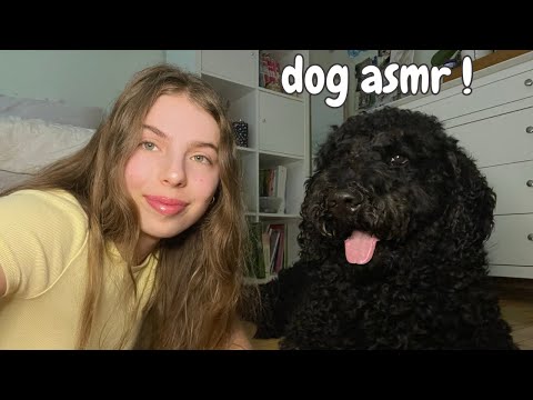 ASMR with my dog 🐶 (brushing, tapping, rambling)