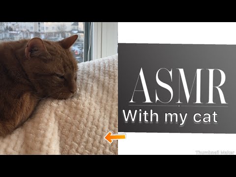 ASMR with my cat!