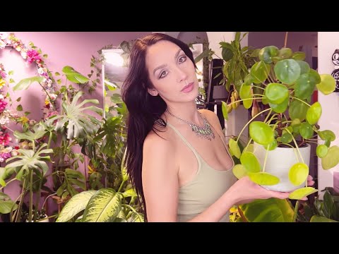 ASMR - Soft Spoken Plant Tour | Indoor Plants Show and Tell | Part 1