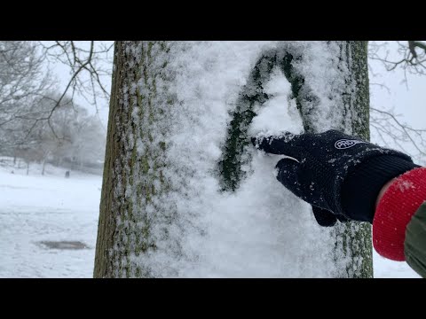 ASMR SNOW ❄️ #shorts