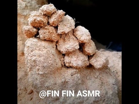 ASMR : Crumble Sand Snail ^__^ #12