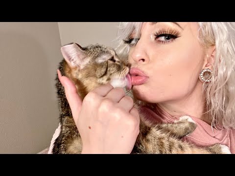 Asmr Kitty cat kisses, purring, petting
