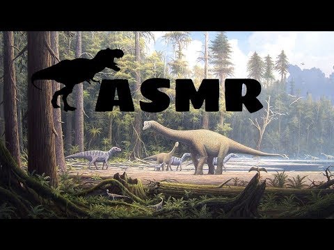 ASMR - Dinosaurs 🦖🦕
