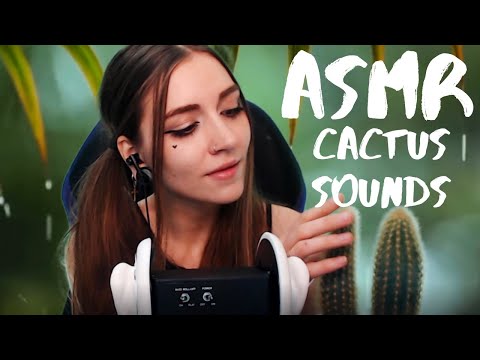 ASMR CACTUS SOUNDS | АСМР звуки кактуса