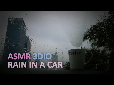 ASMR. 1 Hour Rain in a Car 차 안에서 듣는 빗소리 1시간 (Binaural)