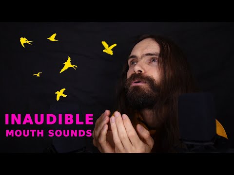 ASMR changing your bad thoughts into beautiful birds (inaudible mouth sounds)