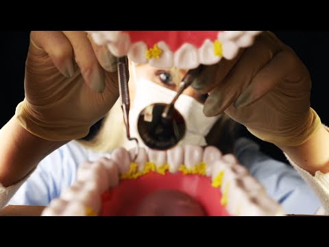 ASMR | Dentist Role Play (SeSo)