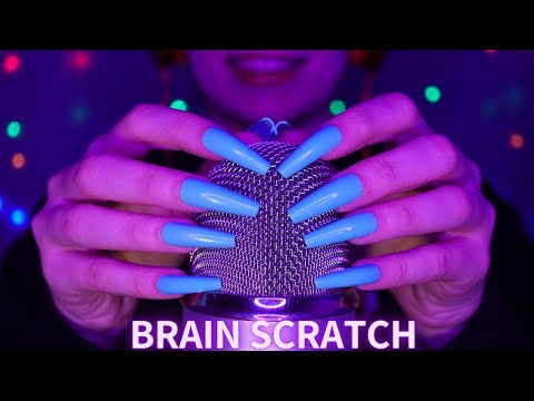 ASMR Reverse Mic Scratching - Brain Scratching for 100% SLEEP - No Talking with Long Nails | 4K