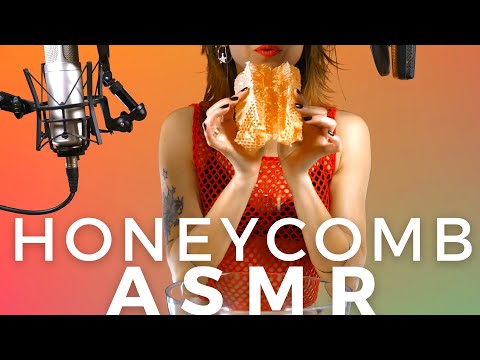 ASMR HONEYCOMB | Relaxing Eating Sounds | Best Sound Quality ASMR Videos