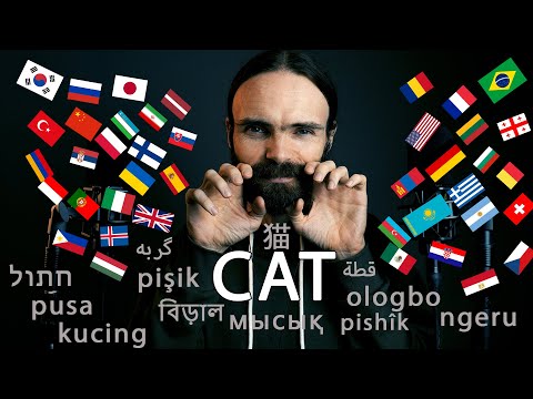 Whispering CAT in more than 50 languages! (ASMR)