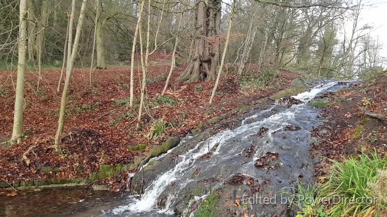 ASMR - Whispering Over A Waterfall Scenery