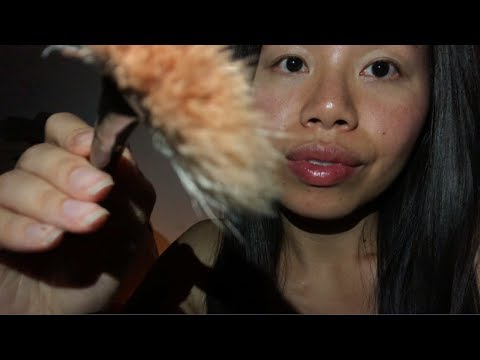 ASMR *T-T-T-INGLY LO-FI* Repeating My Intro w. Face Brushing, Touching, Tracing Visuals (UP CLOSE)