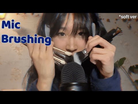 ASMR 30 mins Mic Brushing soft version(ft. ear cleaning sounds)