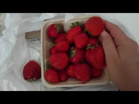 Strawberry Tingles